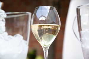 Champagne Tasting Experience - Sally Hillman's la fête de Noël - 2022