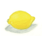 Citron Lemon Greeting Card
