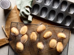 Freshly baked French madeleines for afternoon tea