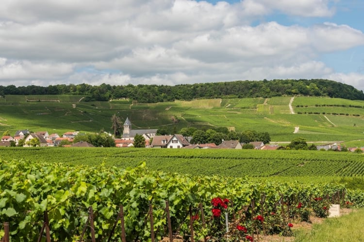 KG7JNA Avize, France - June 12, 2017: The small Champagne village Avize/Oger near Epernay with vineyards and hills on a summers day in France.