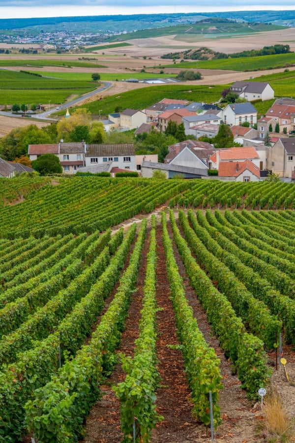 champagne-region-1