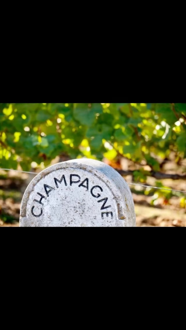 Planning your next European summer adventure? ⛱️ You’ll want to mark your calendars and save the following dates, as our highly anticipated, five-star Tour de Champagne is now offering three fabulous tours in 2024! 🇫🇷
 
✨Tour 1: Sunday, 26 May to Friday, 31 May 2024 ✨

✨Tour 2: Sunday, 2 June to Friday, 7 June 2024 ✨

✨Tour 3: Sunday, 9 June to Friday, 14 June 2024 ✨
 
Whether you’re a seasoned champagne connoisseur or a newcomer to the magical world of champagne, we warmly invite you to join Sally Hillman’s Tour de Champagne, our intimate annual tour exploring the enchanting wonders of Champagne.
 
On our first-class tour, no stone is left unturned; no experience is too much to ask. You will come away with every desire catered for: curiosity satisfied, thirst quenched, and palate satiated.
 
Looking for a more tailored experience?
 
Starting in September 2023, we’re pleased to offer private, tailor-made tours so you can experience Champagne your way. Whether you plan to attend the upcoming Rugby World Cup in France, the Paris Marathon in April 2024, or simply wish to enjoy a private and personalised tour of the Champagne region during your travels, contact us now to create your dream itinerary.
 
Find out more via the 🔗 in bio.
 
SallyHillman.com.au
 
#SallyHillman #CelebratingChampagne
#champagnetour #champagne #champagnelover #winelover #growerchampagne #recoltantmanipulant #corporateevents #foodandwine #experience #winetasting #champagnetasting #wineeducation #champagneeducation #celebration #champagneclub #growerchampagneclub #champagnesubscription #champagnegifts #champagnemoments #champagnelife #champagnetime #champagnefrance #champagneworldwide #travel #champagnetrip