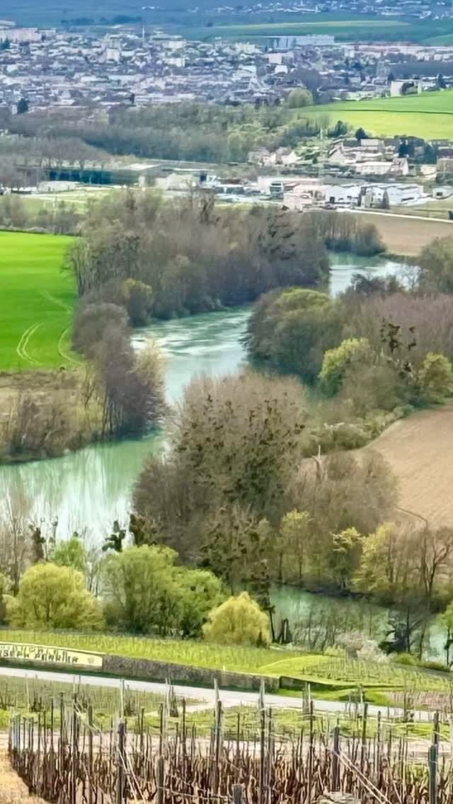 Champagne isn’t just about the bubbles—it’s the beauty of the landscape that makes this region unforgettable.

From the rolling hills of vineyards to the picturesque villages nestled along the Marne River, Champagne’s landscape is a stunning blend of nature, tradition, and elegance. 🍇🌿

The vast vineyards stretch as far as the eye can see, with each row of vines telling a story of generations of craftsmanship. The picturesque villages, dotted with historic Champagne houses, offer a glimpse into the region’s rich heritage.

Whether you’re enjoying a glass of champagne with a view or wandering through the vineyards, Champagne’s landscape never disappoints.

#growerchampagne #celebratingchampagne #sallyhillman #frenchwine #champagne #travelfrance