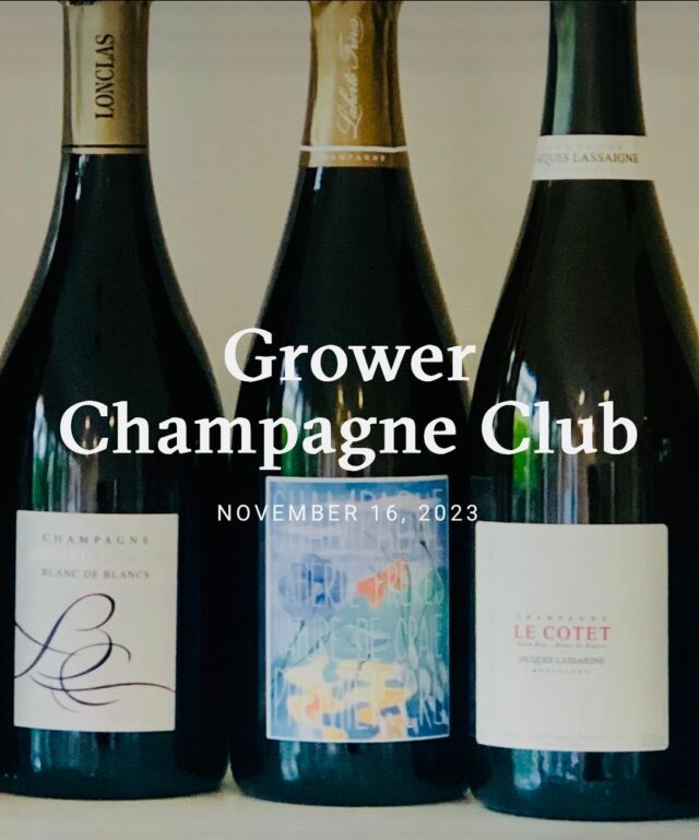 For the final weeks of spring, we’re all about Blanc de Blancs champagne—but with a twist! 😉⁣

👩‍💻 Head to the link in bio or 👇 to discover unique grower champagne from the appellation’s rarer, off-the-beaten-track Chardonnay terroirs. 
👉 https://sallyhillman.com.au/journal/grower-champagne-club/

Serving as a powerful contrast to the classic, laser-focused examples of the Côte des Blancs, the Blanc de Blancs we’re enjoying are eye-opening, effervescent gems 💎 with a robust and generous fruit profile, perfect for the warmer spring weather 🌤️ 

Santé! 🥂

SallyHillman.com.au

#SallyHillman #CelebratingChampagne 
#champagne #champagnelover #winelover #growerchampagne #recoltantmanipulant #champagnetasting #winetasting #champagnetime #champagnemoments #champagnelife #champagnefrance #champagneaustralia #champagneworldwide #wineeducation #champagneeducation #winereview #celebration #champagneclub #growerchampagneclub #champagnegifts #winegifts #corporategifts #giftideas @emmanuellassaigne @laherteaurelien @champagne_lonclas