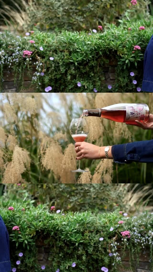 The weekend is almost here, and I must admit I’m ready for it.

There’s a lovely bottle of champagne chilling on ice, waiting to be opened with friends for a relaxed Friday afternoon apéro. 

I’m thinking a simple spread of olives, a few beautiful cheeses, some slices of saucisson and a freshly cut baguette, the sort of effortless bites that pair perfectly with a chilled glass and good conversation.

Wishing you all a wonderful start to the weekend. 🥂

#celebratingchampagne #apero #champagneandfood #entertainingathome #weekendritual