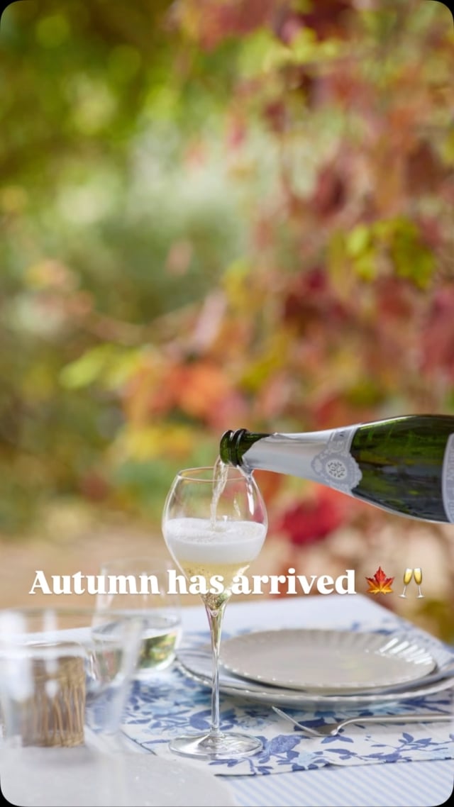 Autumn has arrived — with crisp air, slow-cooked comforts, and champagne that warms the soul. 🍂

Coq au vin, rustic table settings, golden glasses in hand. This is the season for lingering moments and refined champagne and food pairings.

#sallyhillman #celebratingchampagne #champagnemoments #foodandwine #slowfood #autumntable #atthetable