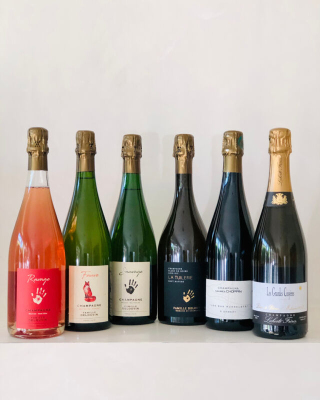 This month, we’re celebrating the joys of spring and all the merry-making opportunities for weekend soirées and outdoor entertaining that earlier sunrises and later sunsets can bring! 🌼🌱🍾⁣

Head to the 🔗 in bio or 👇 to find out which grower champagnes we’re drinking to whet our appetites and kindle high spirits this season!
👉 https://sallyhillman.com.au/discover-the-grower-champagne-club/

SallyHillman.com.au

#SallyHillman #CelebratingChampagne 
#champagne #champagnelover #winelover #growerchampagne #recoltantmanipulant #champagnetasting #winetasting #champagnetime #champagnemoments #champagnelife #champagnefrance #champagneaustralia #champagneworldwide #wineeducation #winereview #celebration #champagneclub #growerchampagneclub #champagnegifts #winegifts #corporategifts #giftideas @neshsimic @bibendumwineco