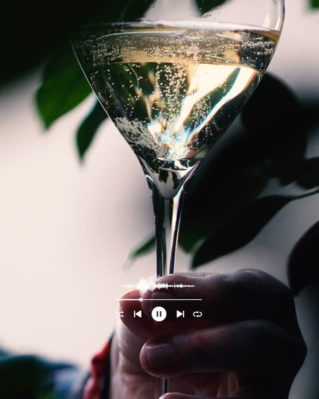 ✨ Why do we love champagne with food? 

Because it’s the ultimate pairing partner — bright, crisp, and effortlessly elegant. It lifts flavours, cuts through richness, and makes every bite feel like a celebration. 🥂🍽️

As I write in my book: “I personally invite you to explore champagne in a way that perhaps you may not have before: to see it not just as a celebratory toast, but as a companion to all of life’s moments. For years, I’ve been pairing champagne with food, no matter the occasion, because to me there’s something truly magical about how this wine leaves you feeling happy, light and uplifted.”

Here’s to embracing champagne not just in the big moments — but in every delicious one. 💫

Ready to sip, savour, and see Champagne differently? The journey starts in the pages… 

📖 Available now at sallyhillman.com.au

#champagne #champagnemoments #wineandfood #perfectpairing #celebratingchampagne #sallyhillman