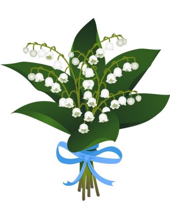 🌸 A Sprig of Luck: La Fête du Muguet 🇫🇷

As the sun begins to set here in Australia, France is just waking up to one of its most beautiful traditions: May 1st, or Lily of the Valley Day.

Across France today, the air is filled with the sweet scent of these delicate “bells of happiness”. It’s a centuries-old custom to gift a posie of muguet to loved ones to wish them good luck and prosperity for the year ahead.

The tradition is most famously traced back to May 1, 1561. Legend says young King Charles IX was so enchanted by a lucky sprig he received that he began gifting them to the ladies of his court every year on this date.

Sending a little bit of French ‘bonheur’ (happiness) and luck your way this evening! 🤍💚

#fetedumuguet #frenchtradition #lilyofthevalley #mayday #sallyhillman