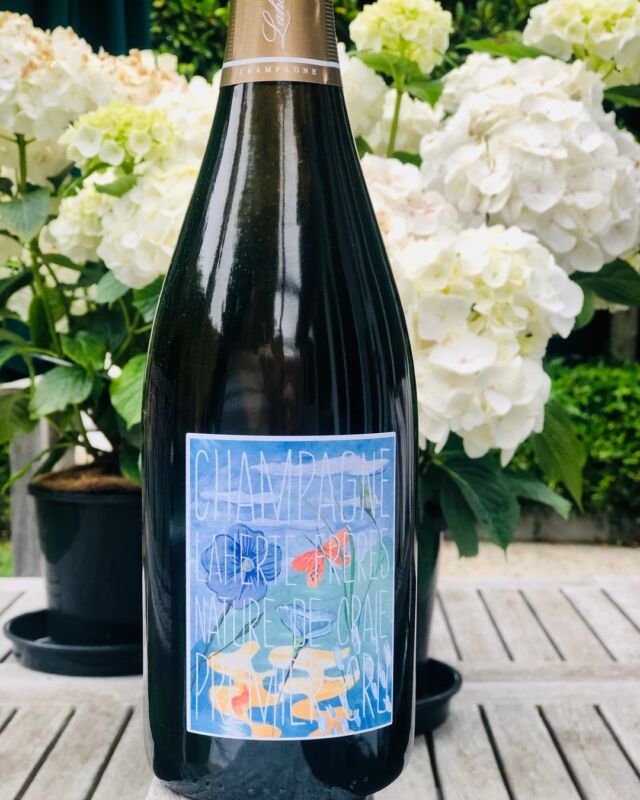 What’s in your glass this weekend? 

On this gorgeous spring day, we’ll be topping up our glasses with Laherte Frères ‘Nature de Craie’ 🥂⁣

🍾 A concentrate of juicy ruby red grapefruit, brimming with primal character and instant appeal, ‘Nature de Craie’ is @laherteaurelien’s interpretation of ripe Chardonnay on chalk, free from the influence of sulphur and dosage. Assembled from the 2020 harvest, the current release (disg. Apr 22) comprises 100% old-vine Chardonnay from the Premier Cru terroirs of Vertus and Voipreux in the Côte des Blancs. Grapes are vinified in old oak barrels without any addition of sulphur, and full malolactic fermentation is carried out.

🎨 The label is designed by Swedish illustrator @hannaalbrektson, who has beautifully captured the natural, wild essence of this pure and living Blanc de Blancs made for breezy afternoons spent sipping seconds under the sun.

✍️ Exotic citrus aromas dive into soft waves of crème fraiche and dried apricot, greeting the nose with a rising, tickling minerality that materialises with spine-tingling potency on the attack. Skimming the palate—generous and juicy with ruby red grapefruit; rich and fleshy with blood orange and apricot—a smooth and rounded acidity bounces buoyantly across the long, chalky finish, leaving ripples on the tongue like a skipping stone.

🍽️ Perfectly paired with sweet, ocean-flavoured Pacific oysters freshly harvested from the pristine waters around Ceduna, SA.

Discover Champagne Laherte Frères at SallyHillman.com.au, Australia’s premier destination for all things grower champagne, where hidden treasures await champagne aficionados and passionnés. 🔗 in bio.

#SallyHillman #CelebratingChampagne 
#champagne #champagnelover #growerchampagne #recoltantmanipulant #champagnetasting #winereview #foodandwine #celebration #champagneclub @bibendumwineco