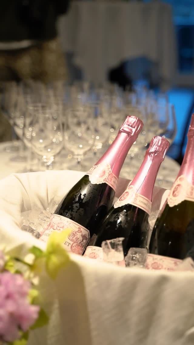 A sparkling celebration for the launch of ‘Celebrating Champagne:A Wine For All Seasons’ ✨🍾

Surrounded by friends, florals, and champagne — thank you to everyone who joined us for an unforgettable evening filled with beauty, warmth, and French-inspired joy. 🥂💛

A heartfelt thank you to everyone who contributed to this gorgeous book — your creativity, support and passion brought it to life.

We’re thrilled to share that Celebrating Champagne: A Wine For All Seasons is now officially in stock and available to order.

Part celebration, part curation — this is a book for the champagne lover, the stylish host, and anyone who believes life’s moments (big and small) deserve to be savoured.

It’s here, it’s beautiful, and it’s ready to be enjoyed.

Shop now at sallyhillman.com.au 💛

#celebratingchampagne #booklaunching #sallyhillman #effortlessentertaining #frenchinspiration #shopnow